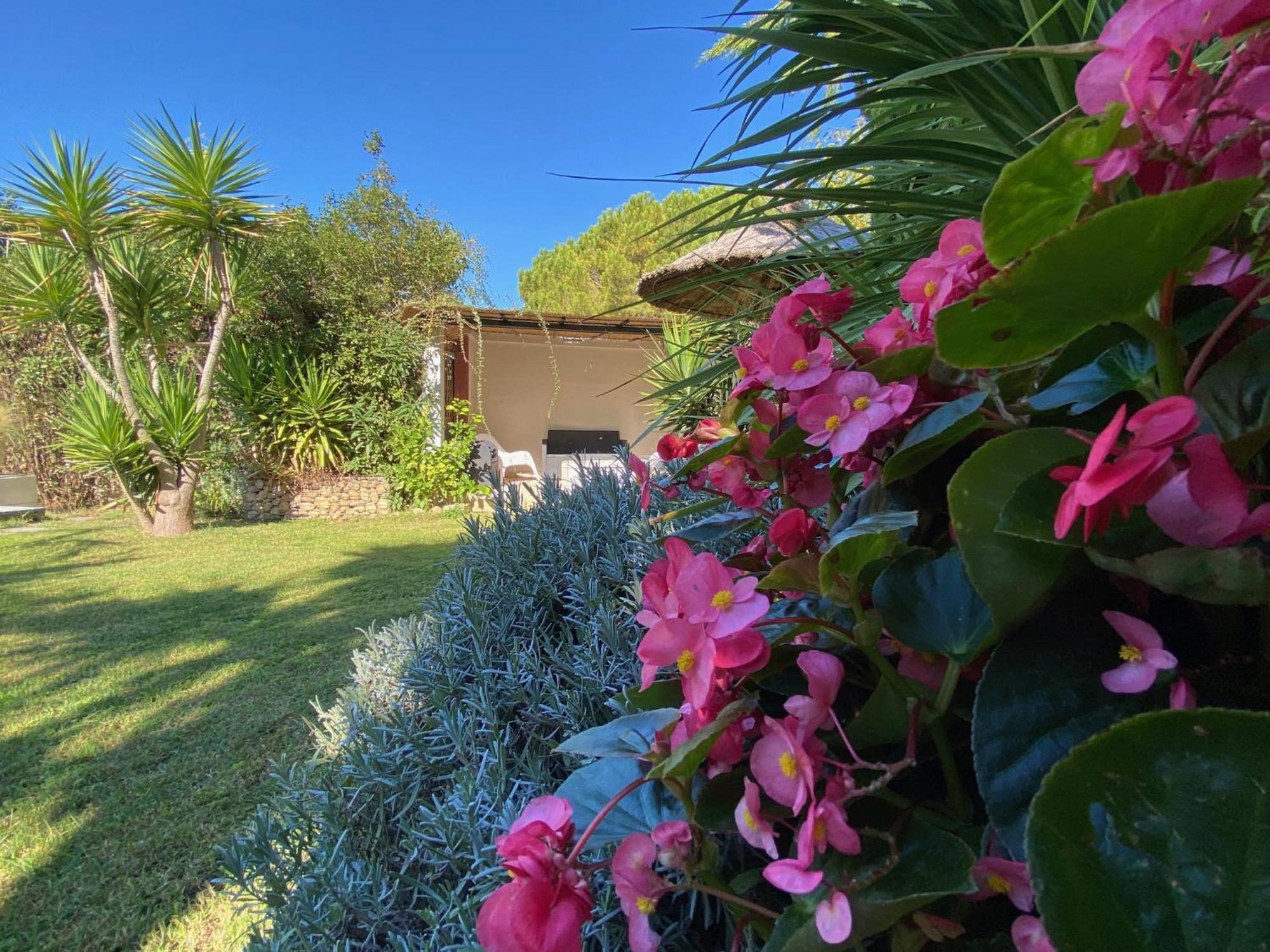 Lemodernlounge, Hebergement Cosy Moderne Spacieux Balaruc-les-Bains Buitenkant foto
