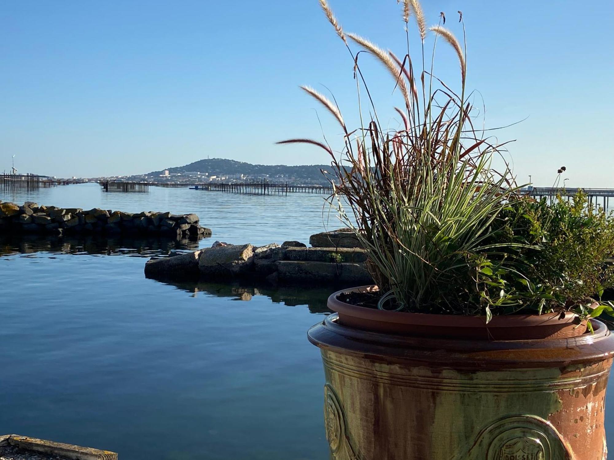 Lemodernlounge, Hebergement Cosy Moderne Spacieux Balaruc-les-Bains Buitenkant foto